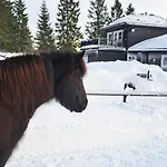 Stallen * Heggem